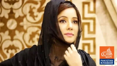 Rabi Pirzada Harassment Suspect Arrested in Defence