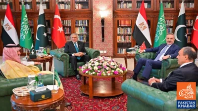 نائب وزیراعظم اسحاق ڈار چوٹ کے باوجود اہم ملاقاتوں میں شریک