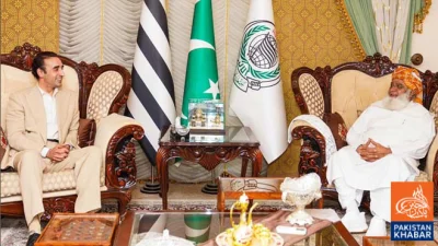 پیپلز پارٹی نے مولانا فضل الرحمان کو سندھ و بلوچستان میں شراکت کی دعوت دی