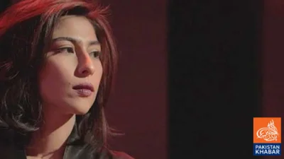 Misha Shafi’s lawyer announces challenge to Sessions Court verdict in High Court