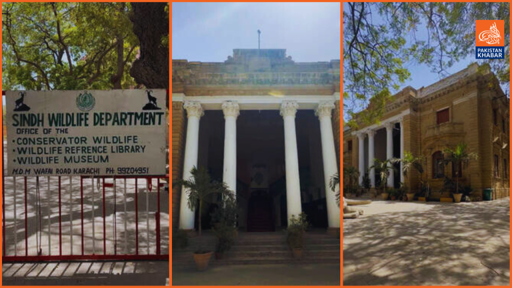 From shadows to sanctuary Karachi's historic freemasons lodge transforms into wildlife haven